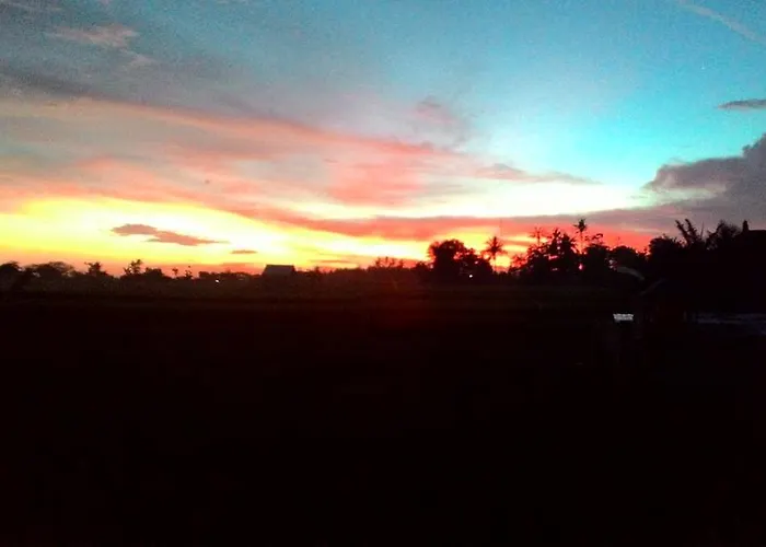 Griya Bun Sari *