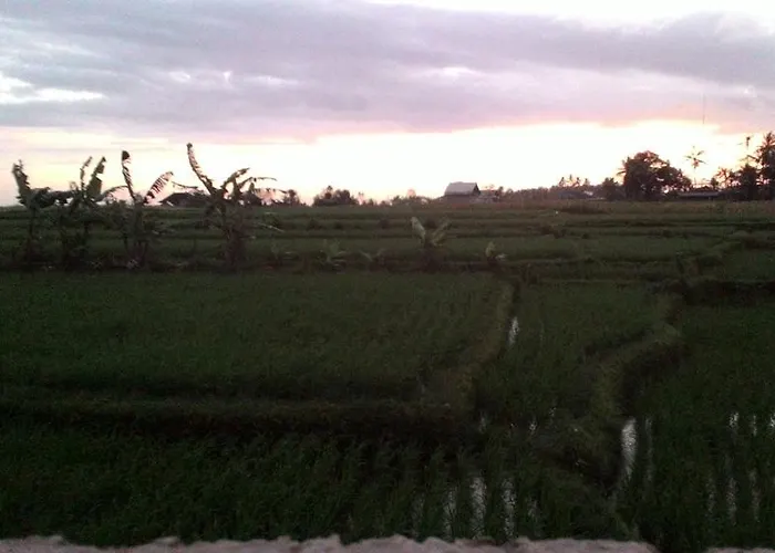Griya Bun Sari Privatunterkunft Sukawati