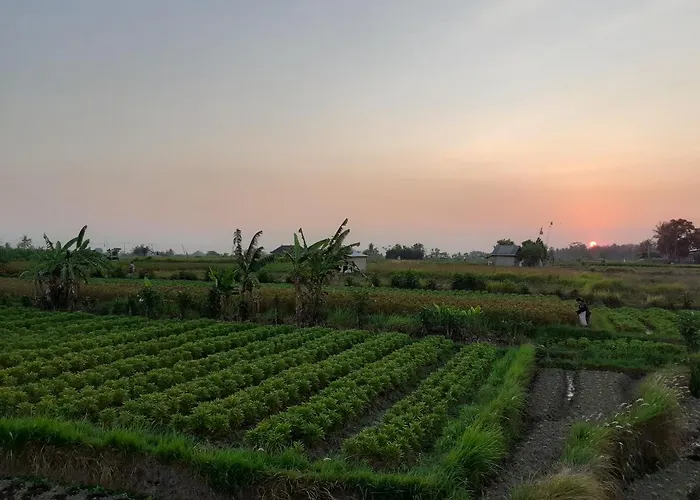 Griya Bun Sari *